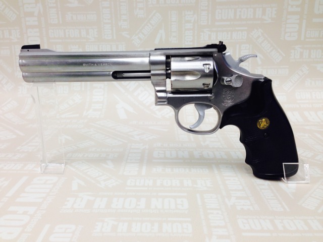 IMG 4575 - Gun Rental #0081 Smith & Wesson 617 .22lr