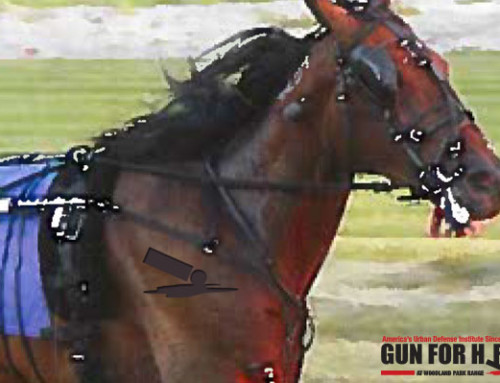 Gun For Hire Horse Race